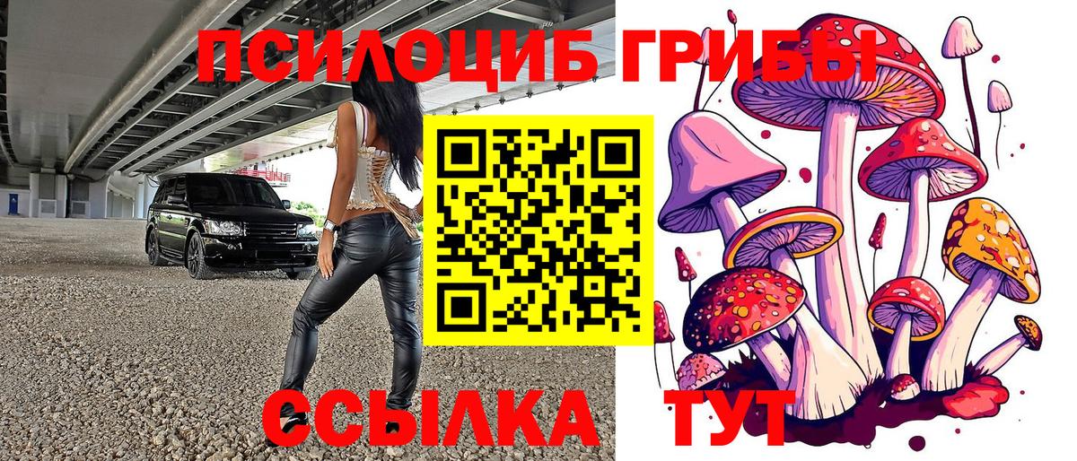 Псилоцибиновые грибы GOLDEN TEACHER Киреевск