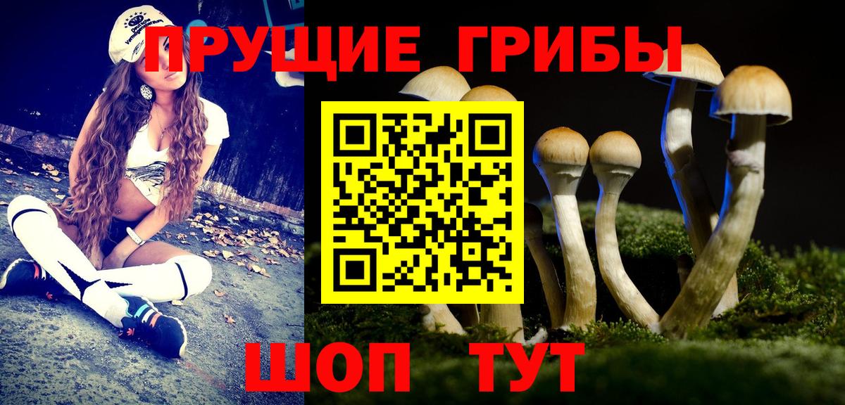 Псилоцибиновые грибы Magic Shrooms  Псилоцибиновые грибы Cubensis  где можно купить наркотик  Киреевск 