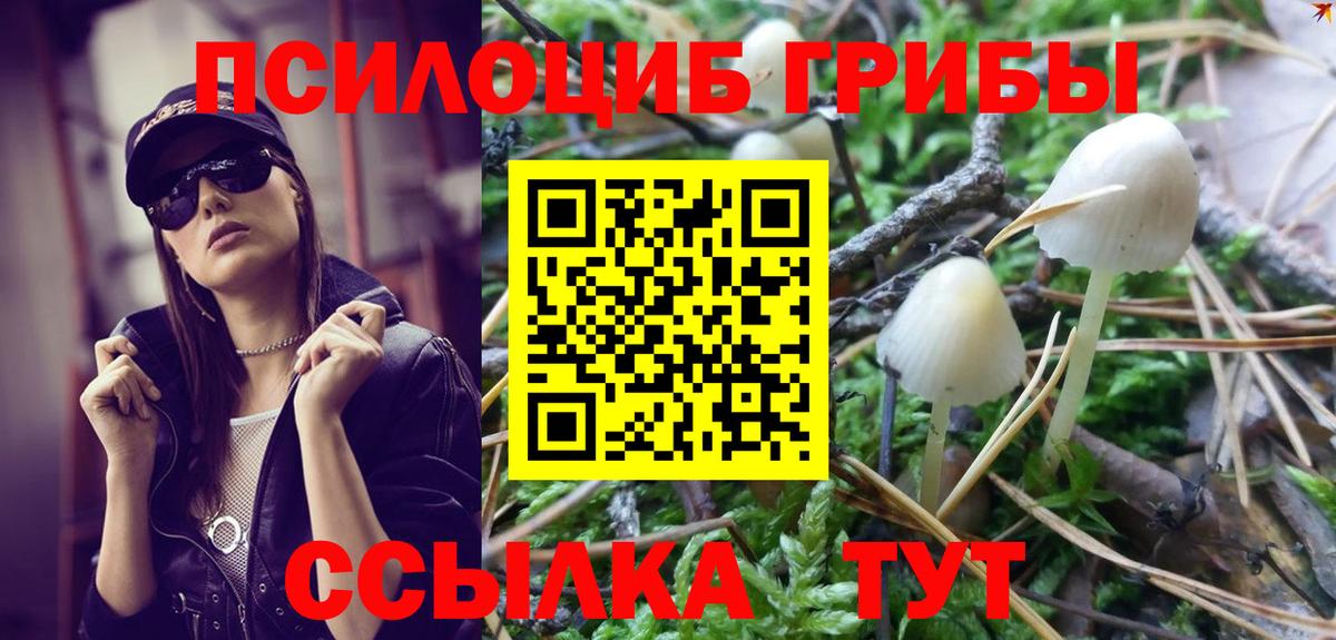 Галлюциногенные грибы Magic Shrooms  Псилоцибиновые грибы Cubensis  Вход с VPN  Киреевск 